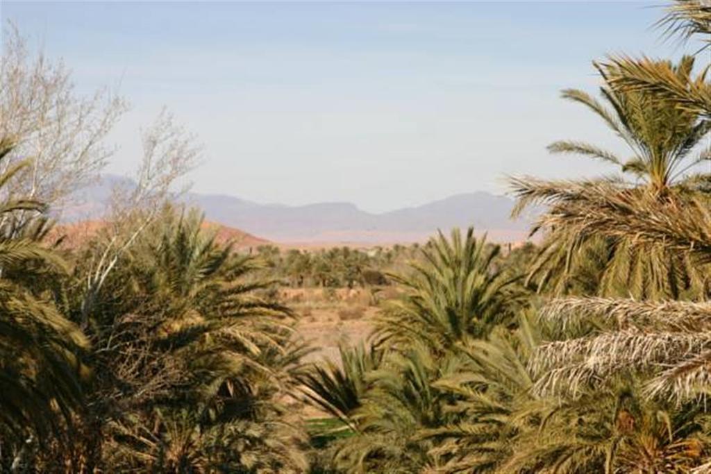 Riad Sarayas Tajda Bagian luar foto