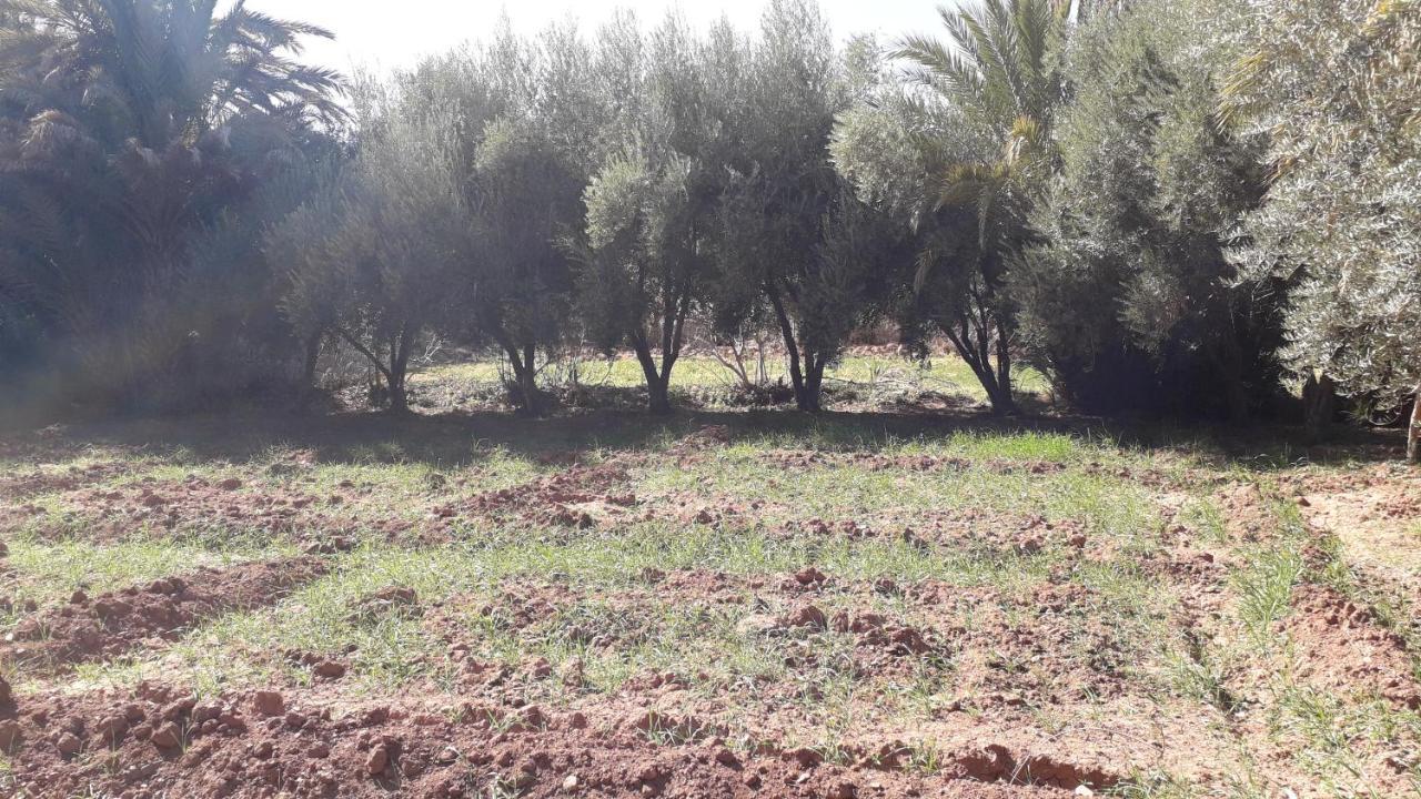 Riad Sarayas Tajda Bagian luar foto