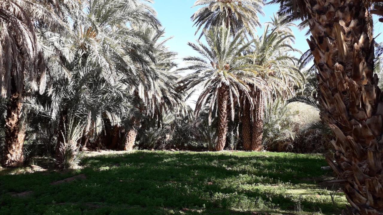 Riad Sarayas Tajda Bagian luar foto