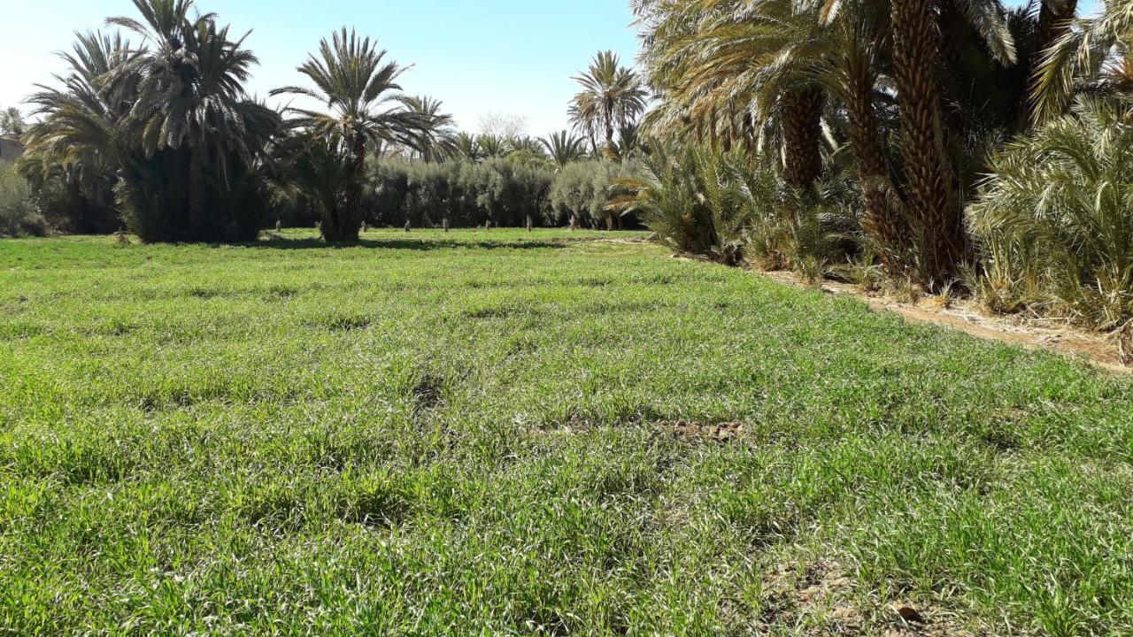 Riad Sarayas Tajda Bagian luar foto